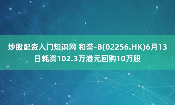 炒股配资入门知识网 和誉-B(02256.HK)6月13日耗资102.3万港元回购10万股