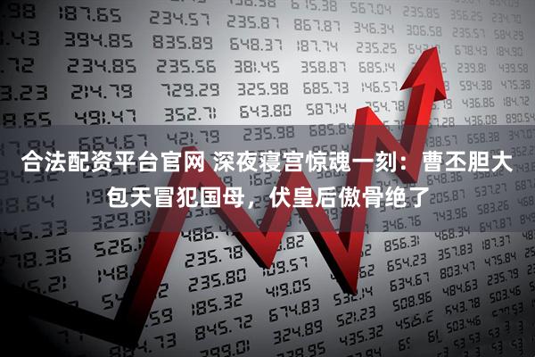 合法配资平台官网 深夜寝宫惊魂一刻：曹丕胆大包天冒犯国母，伏皇后傲骨绝了